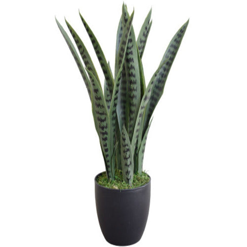 artificial snake plant