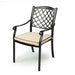 fuji garden chair