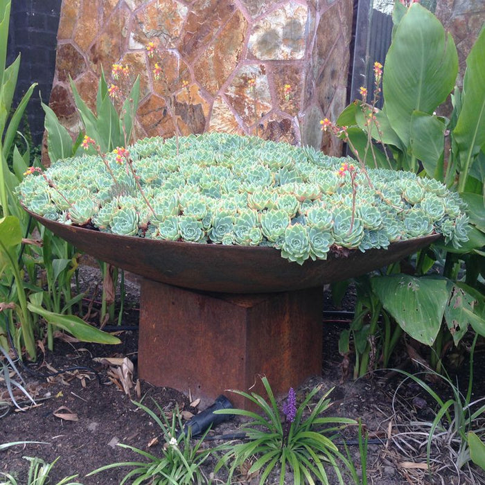 Firepit bowl with trivet base planter in garden background
