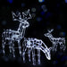 3pc LED Reindeer Christmas Decor
